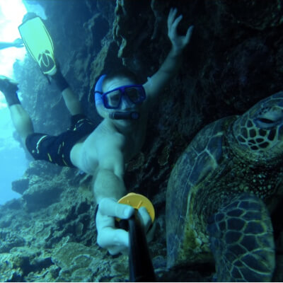 person snorkeling near a sea turtle