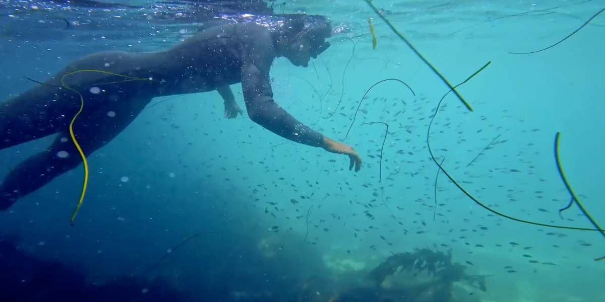 person snorkeling