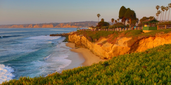 Best Things to Do in La Jolla