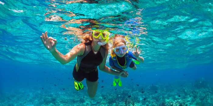 Family Snorkeling in La Jolla San Diego